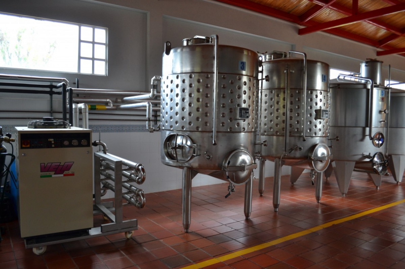 cave-LE THORONET-min_wine_production_cantine_winery_drink_alcohol_vine_beverage-902036